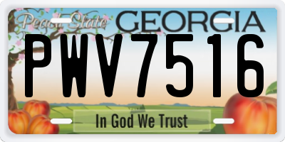 GA license plate PWV7516