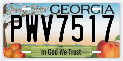 GA license plate PWV7517