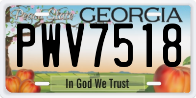 GA license plate PWV7518