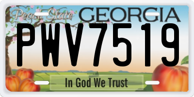 GA license plate PWV7519