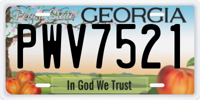GA license plate PWV7521