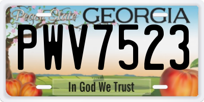 GA license plate PWV7523