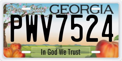 GA license plate PWV7524