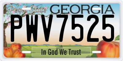 GA license plate PWV7525