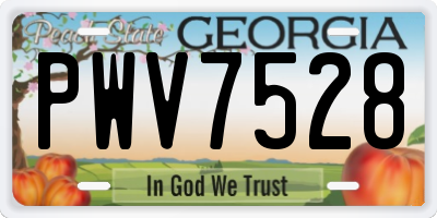 GA license plate PWV7528
