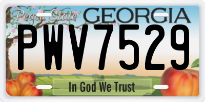 GA license plate PWV7529