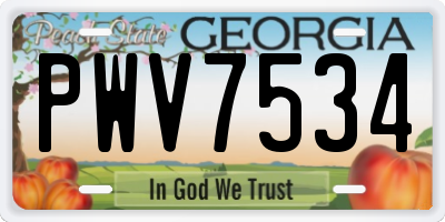GA license plate PWV7534