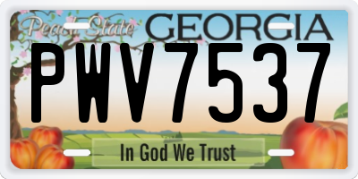 GA license plate PWV7537