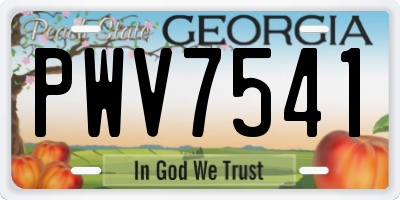 GA license plate PWV7541