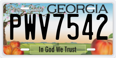 GA license plate PWV7542