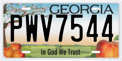 GA license plate PWV7544