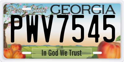 GA license plate PWV7545