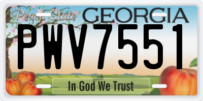 GA license plate PWV7551