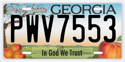 GA license plate PWV7553