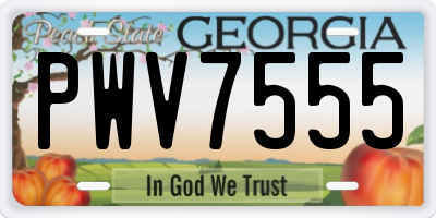 GA license plate PWV7555