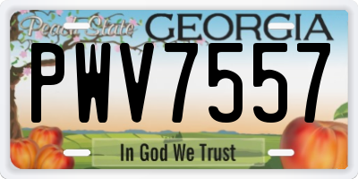 GA license plate PWV7557