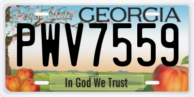 GA license plate PWV7559