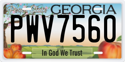 GA license plate PWV7560