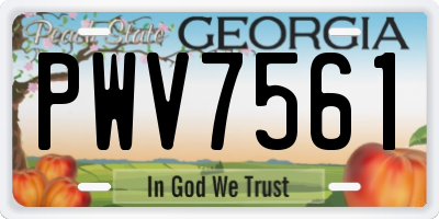 GA license plate PWV7561