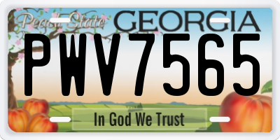 GA license plate PWV7565