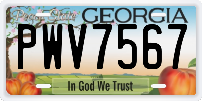 GA license plate PWV7567