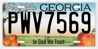 GA license plate PWV7569