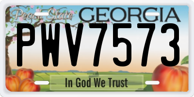 GA license plate PWV7573