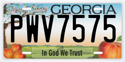 GA license plate PWV7575