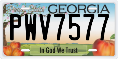 GA license plate PWV7577