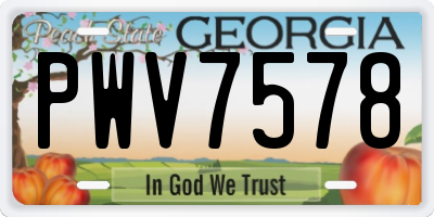GA license plate PWV7578