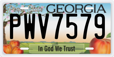 GA license plate PWV7579