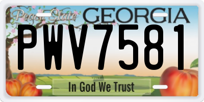 GA license plate PWV7581