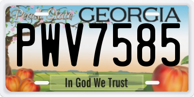 GA license plate PWV7585