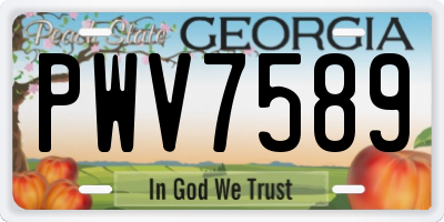GA license plate PWV7589