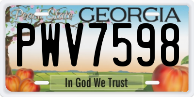 GA license plate PWV7598