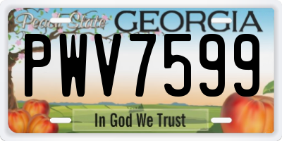 GA license plate PWV7599