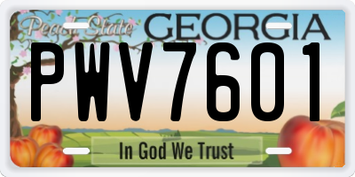GA license plate PWV7601