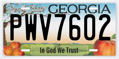 GA license plate PWV7602