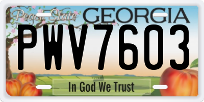 GA license plate PWV7603