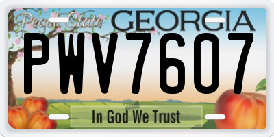 GA license plate PWV7607
