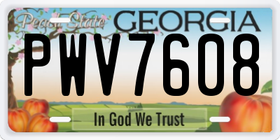GA license plate PWV7608