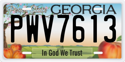 GA license plate PWV7613