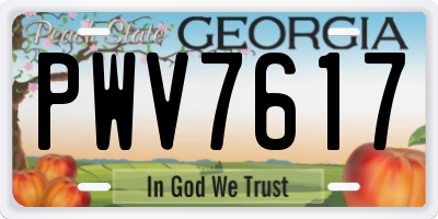 GA license plate PWV7617