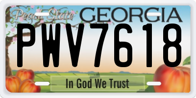 GA license plate PWV7618