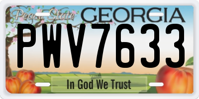 GA license plate PWV7633