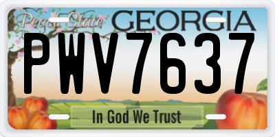 GA license plate PWV7637