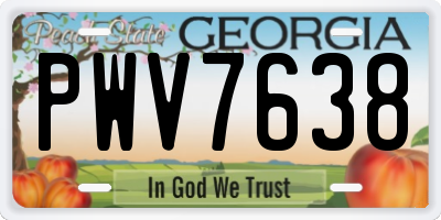 GA license plate PWV7638