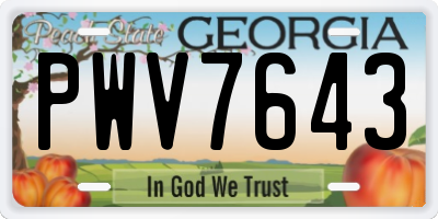 GA license plate PWV7643