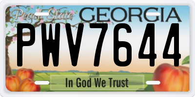 GA license plate PWV7644