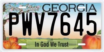 GA license plate PWV7645